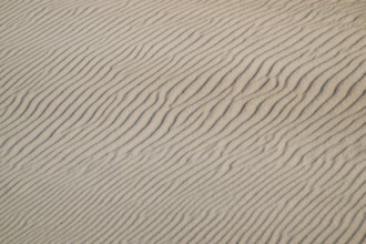 Natural sand patterns with wave-like grooves on a dune, beach near Hvide Sande, North Sea, Denmark