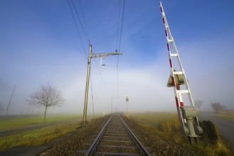 Railroad Tracks in a Foggy Agriculture Field with Bare Tree and Sunlight in Locarno, Ticino,