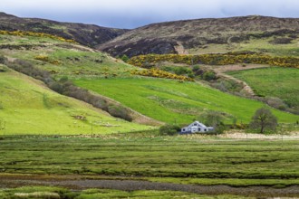 Farms over Loch Harport, Drynoch, Isle of Skye, Scotland, UK