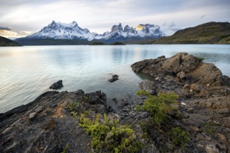 Cuernos del Paine mountain range at sunset, shore of the blue lake Lago Pehoe, Torres del Paine