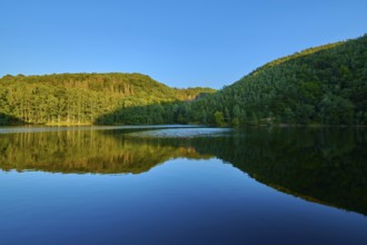 Forest and hills reflected in the calm lake, summer, Rursee, Obersee, Simmerath, Eifel National