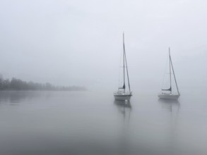Sailing boats on Lake Starnberg with fog, Bavaria, Germany