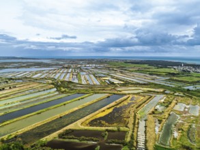 The Lilleau des Niges National Nature Reserve from a drone, The salt marshes,