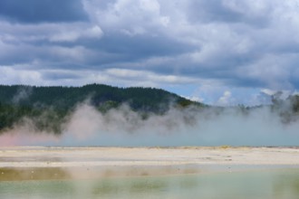 Misty steam over a hot spring and forested hills, under a dramatic sky, Champagne Pool thermal