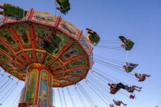 Chain carousel, amusement ride, carousel, Passauer Mai Dult, folk festival, funfair, Passau, Lower