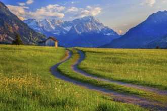 Spring meadow with the Zugspitzgruppe 2962m in the evening sun, Eschenlohe, Wetterstein range,