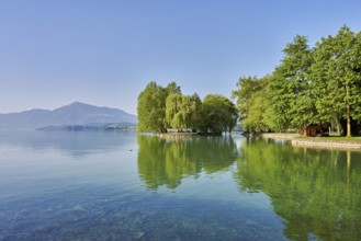 Lake Zug, behind the Rigi, Villette, Park, Cham, Canton Zug, Switzerland