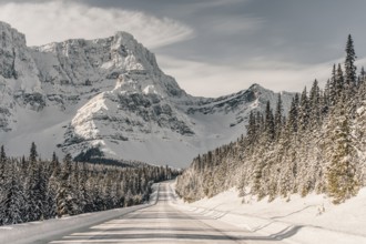 Winter road trip on the Icefields Parkway with lots of snow and ice, Banff National Park, Jasper