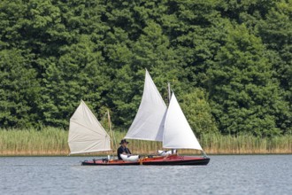 Sailing boat, Leppinsee, Mecklenburg Lake District, Mecklenburg-Western Pomerania, Germany