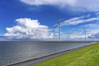 Strekdammen Wind Farm, wind farm at the seaport of Eemshaven in the Netherlands, built on offshore