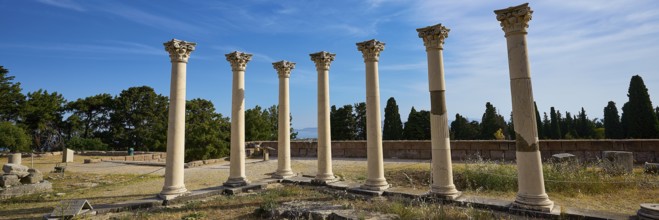 Row of ancient columns under blue sky, surrounded by vegetation, Temple of Apollo, Corinthian