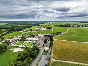 Vineyard of Chateau Beychevelle from a drone, Saint-Julien-Beychevelle, France