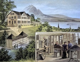The bee museum in Rosenberg near Zug, Switzerland, original drawing by J. Scotti, illustration,