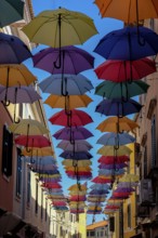 Colourful umbrellas over a street, Novigrad, Istria, Croatia