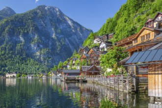 Houses on the steep bank above the lake, Hallstatt, Lake Hallstatt, UNESCO World Heritage Site,