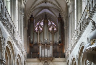 Interior view, west gallery, organ, Cathédrale Notre-Dame de Bayeux, Bayeux, Calvados, France