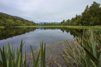 Calm lake surrounded by trees with reflections and slightly cloudy sky, summer, Lake Matheson, Fox