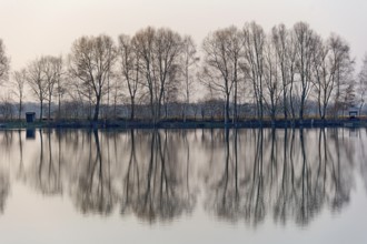 Evening mood at Moosinninger Weiher, quarry pond, fishing pond for carp, reflection of the trees on