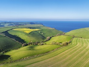 Farms and Fields over Brixham and Kingswear from a drone, Devon, England, United Kingdom