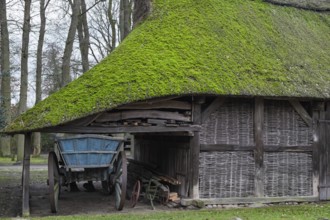 Old barn with moss-covered thatched roof, Lower Saxony, Germany