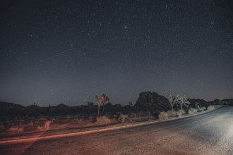 Starry sky in Joshua Tree National Park