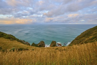 Grassy cliffs spread over coastal hills overlooking the sea, summer, Nugget Point Lighthouse,