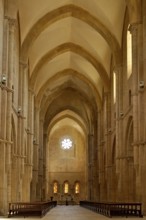 Nave, choir with altar, interior, Gothic basilica of the Cistercian abbey of Fossanova Monastery,