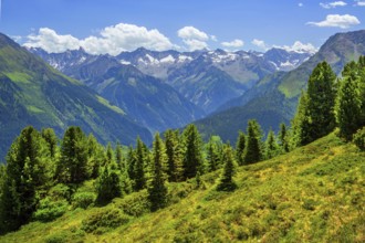 Mountain landscape in the Penken hiking area, Mayrhofen, Zillertal, Zillertal Alps, Tyrol, Austria