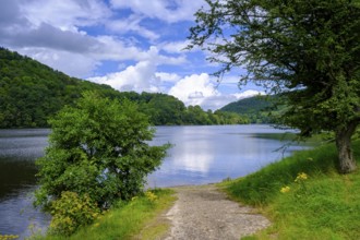 Rur dam, Rur reservoir, Einruhr, North Eifel, Eifel, North Rhine-Westphalia, Germany