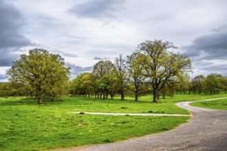 Ruins of Lowther Castle and Gardens, Lowther, Cumbria, England, United Kingdom