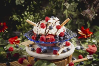 Ice cream sundae with cream, raspberries, blueberries, chocolate syrup and wafer, surrounded by
