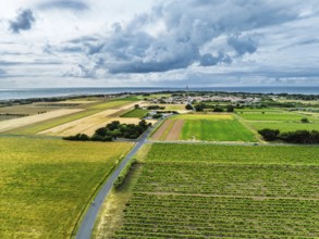 Fields and Grape plantations from a drone, Saint-Clement-des-Baleines, Atlantic, France