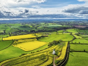 Rapeseed Fields and Farms over Torquay from a drone, Devon, England, United Kingdom