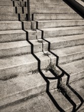 Uneven concrete steps in an urban area expose cracks filled with weeds growing in the crevices.