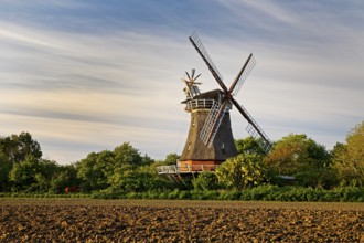 Traditional windmill in Oldsum, Föhr, North Frisia, Germany