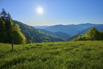 A sweeping view across a green meadow into a mountainous landscape under the sun, spring,