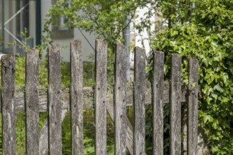 Old garden gate made of weathered wood, North Rhine-Westphalia, Germany