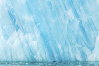 Iceberg, blue glacier ice, Smeerenburgbreen, Scandinavia, Spitsbergen
