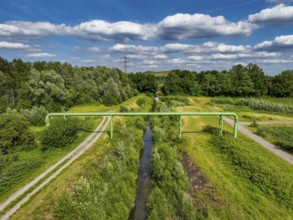 Bottrop, North Rhine-Westphalia, Germany - Renaturalised Boye, the tributary of the Emscher, has