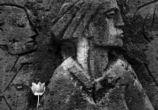 Bittermark memorial, memorial site, detail with tulip for the memorial service on Good Friday,
