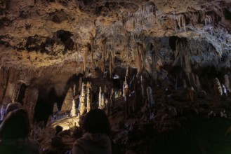 Tourists walking past limestone rock formations in a cave at Florida Caverns State Park in the