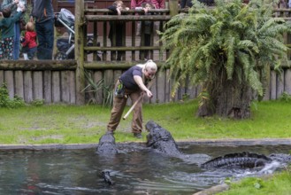 Woman feeding and talking about alligators during a show at the St. Augustine Alligator Farm