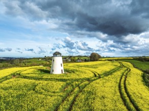Rapeseed fields and Farms over Devon Windmill from a drone, Torquay, Devon, England, United Kingdom