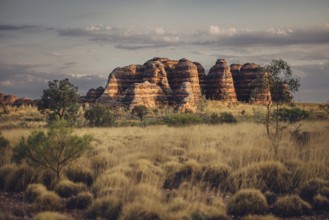 Bungle Bungle Range, Outback, hiking in Australia in high heat, Western Australia, Australia