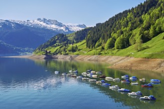 Motorboats moored at the reservoir, snow-covered Alps in the background, Lake Wägital, Canton