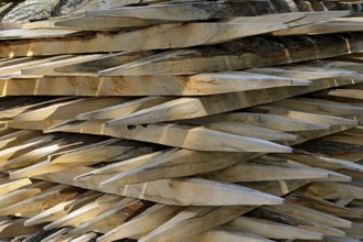 Stacked fence posts with sharpened ends. North Rhine-Westphalia, Germany