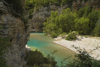 The River Ara in the Spanish Pyrenees near Ainsa, Spain