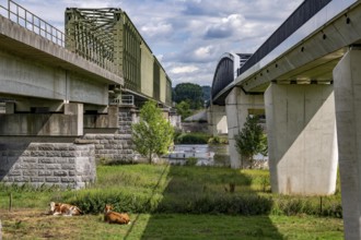 De Massover cycle path bridge, over the Meuse south of Nijmegen, near Cuijk, part of the