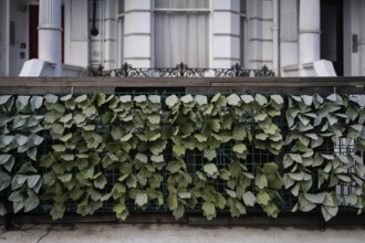 Artificial plastic plant leaves on a fence, Kensington, London, England, Great Britain