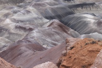 Colorful deposits of the Chinle Formation exposed at Little Painted Desert County Park near
